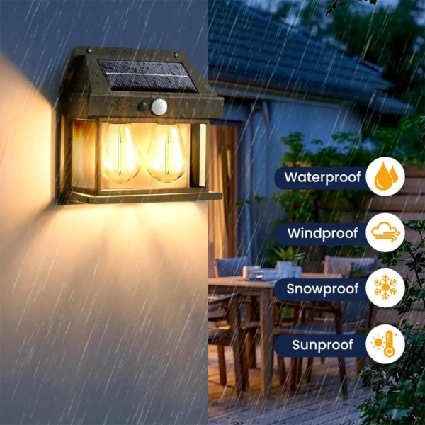 transparent-Photoroom - 2026-07-10T114606.209 transparent-Photoroom - 2026-07-10T114606.209